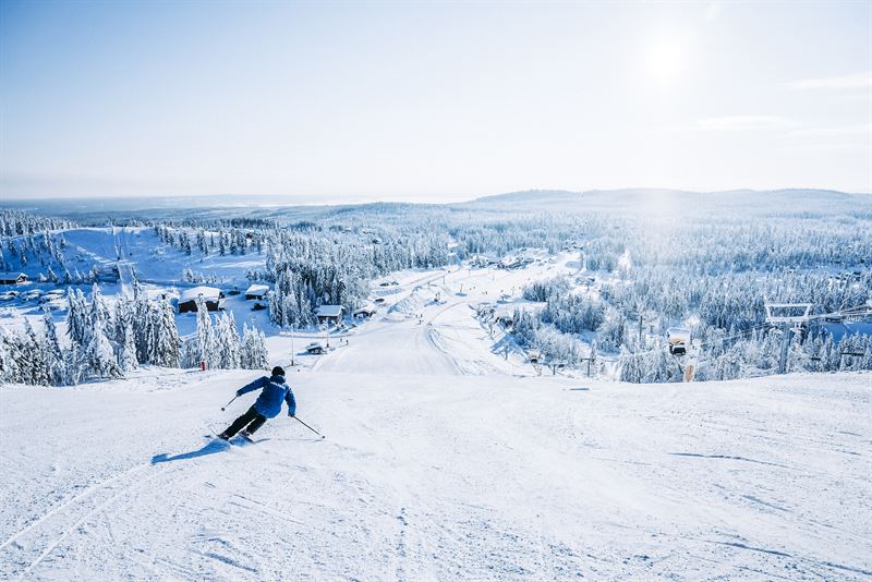 Skidkning Orsa